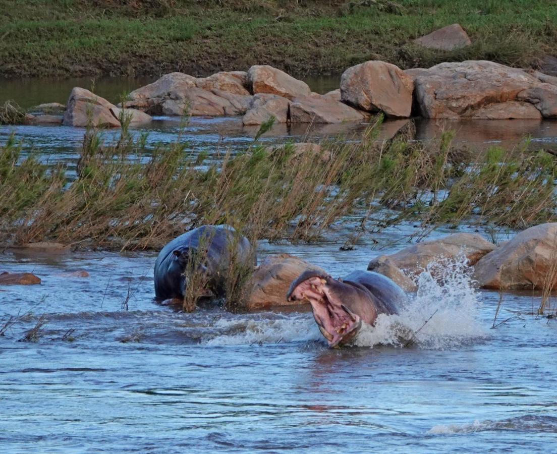 Kruger River Holiday Home Marloth Park Ngoại thất bức ảnh