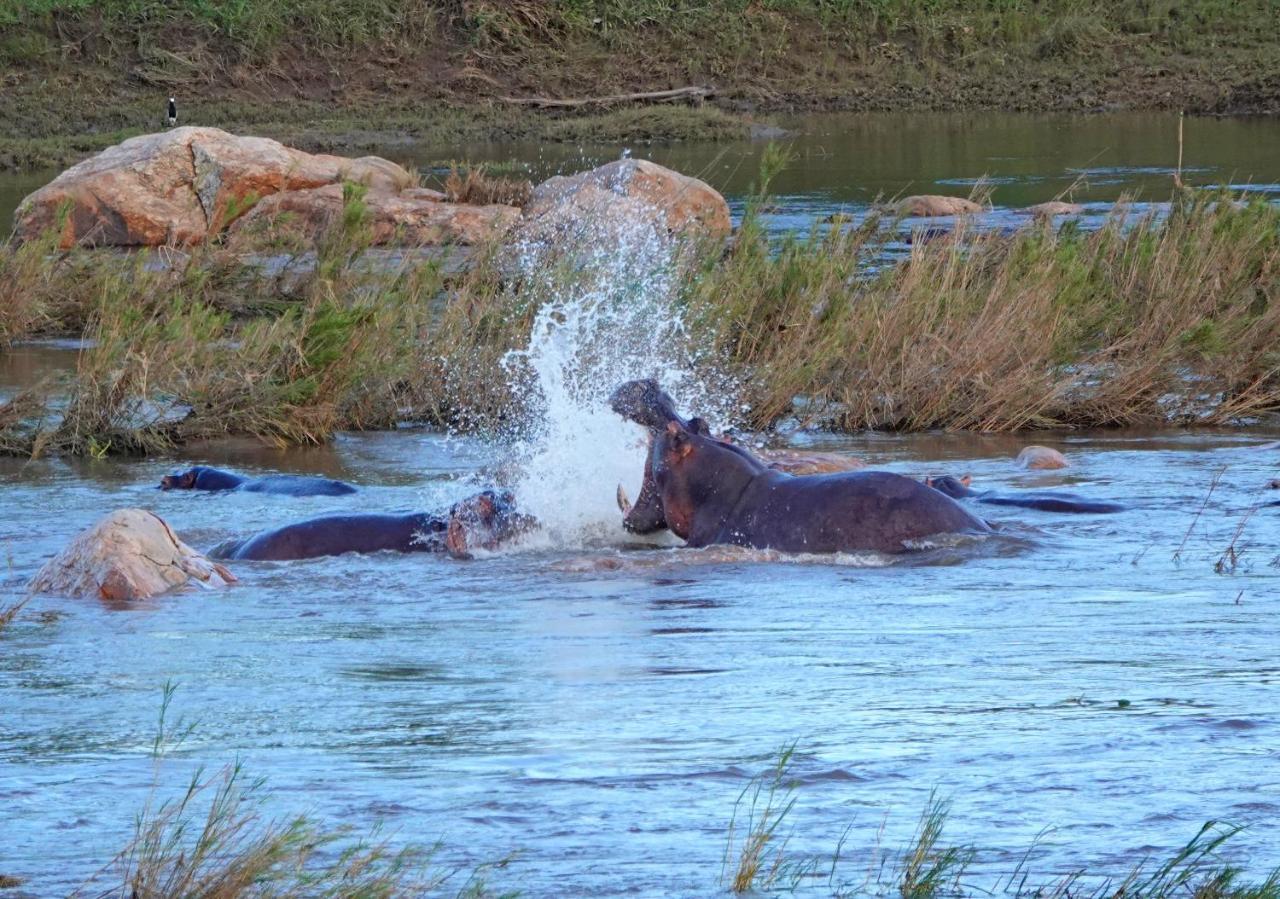 Kruger River Holiday Home Marloth Park Ngoại thất bức ảnh
