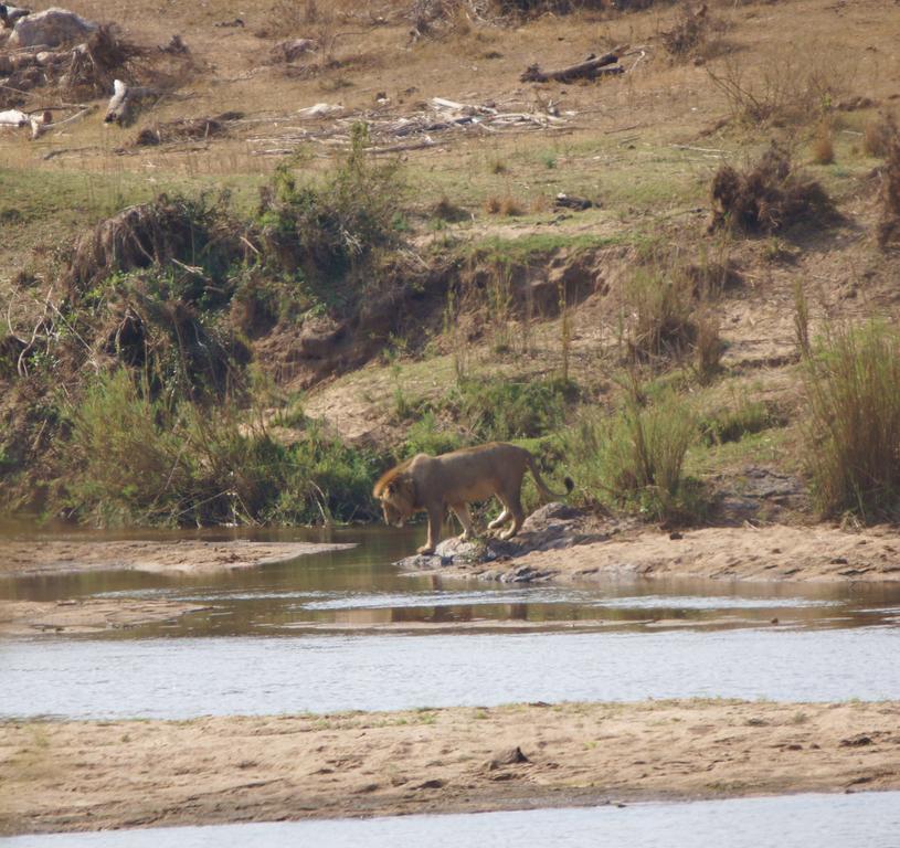 Kruger River Holiday Home Marloth Park Ngoại thất bức ảnh