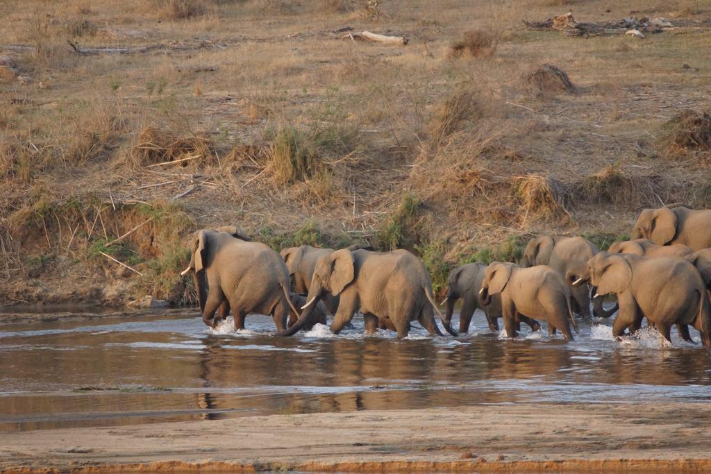 Kruger River Holiday Home Marloth Park Ngoại thất bức ảnh