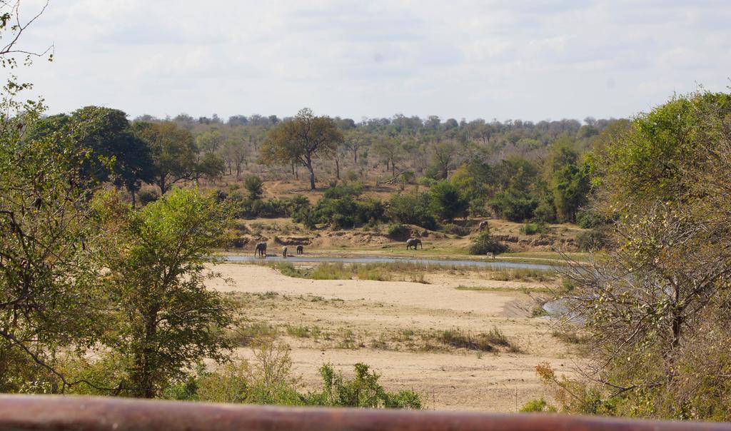 Kruger River Holiday Home Marloth Park Ngoại thất bức ảnh